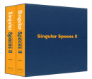 SINGULAR SPACES